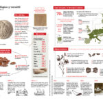 Características del lino