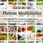Propiedades medicinales de la artemisa